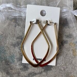 Express Gold-Tone V-Shaped Earrings